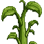 콩줄기 상단 재료 미리보기
